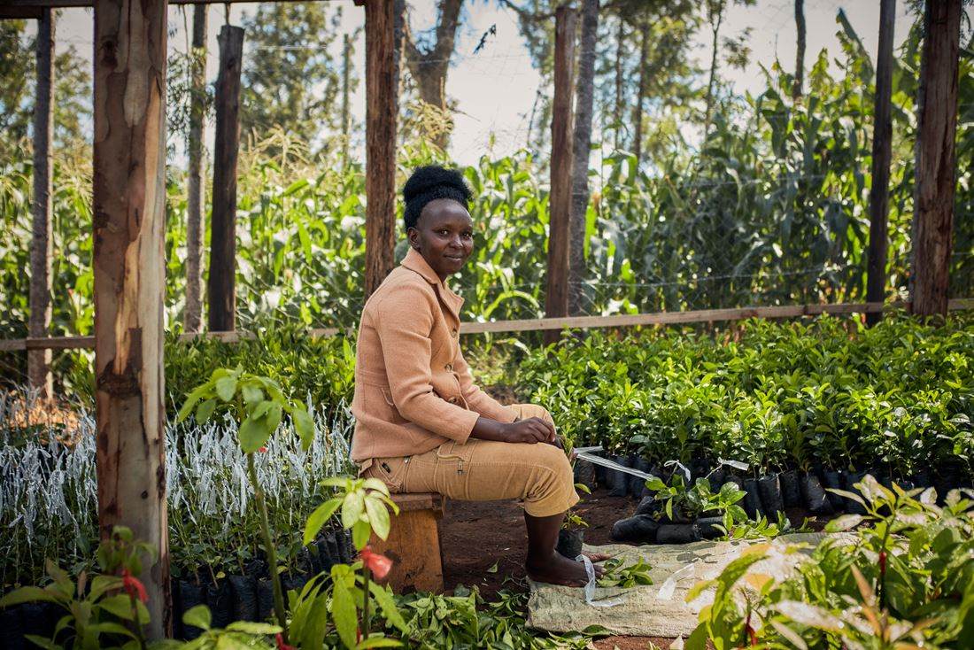 Donna in un vivaio di alberi di un progetto agroforestale